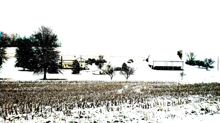 Snow Falling on Field